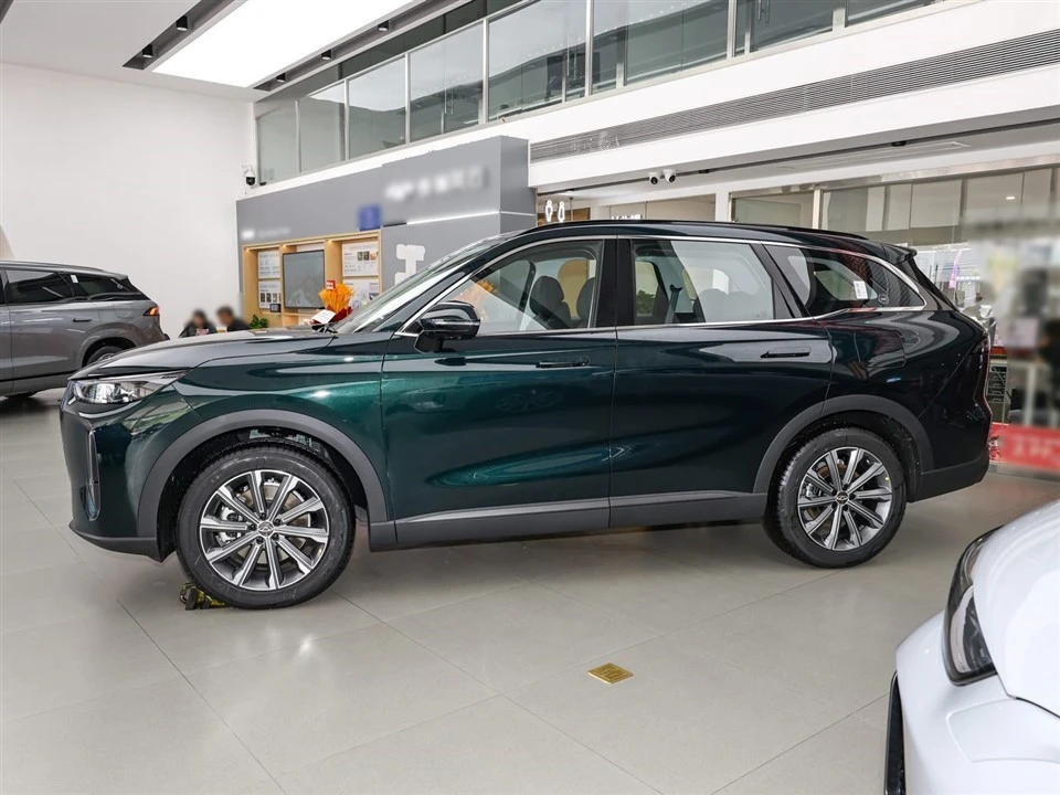Fengyun T9 2025 Premium 5-seater suppliers