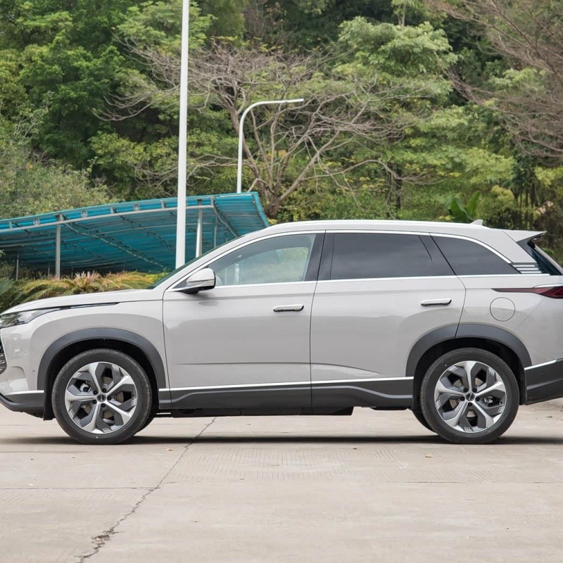 Frigate 07 2024 Honor Edition DM-i 205KM Flagship Model suppliers