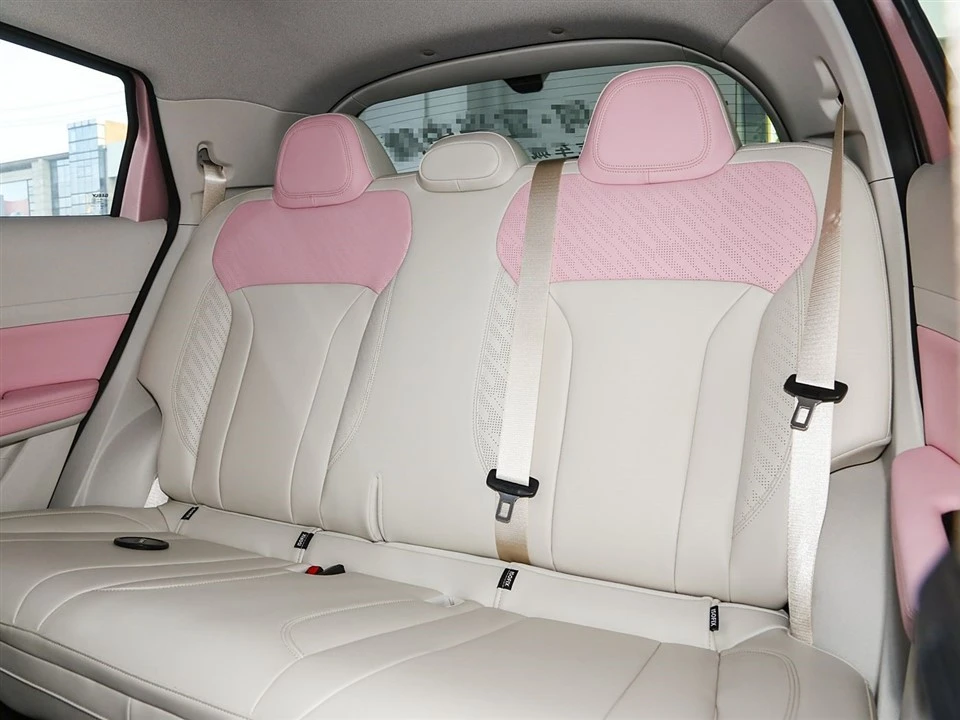 Geely Geometric E 2024 Model 401km Starlight high quality
