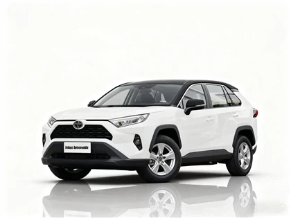 Rav4 2.0L CVT Two-wheel Drive Urban Cheap Used Car