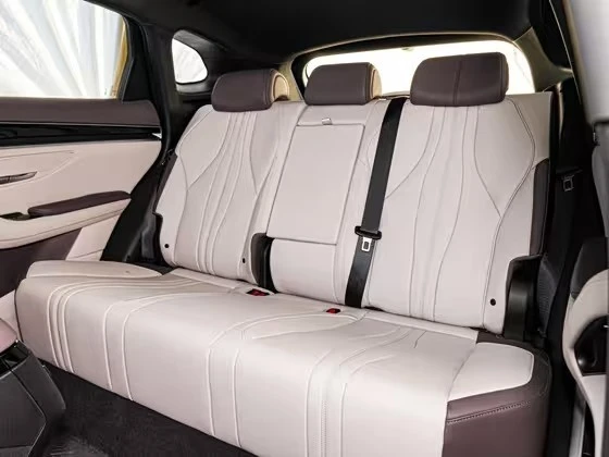 Song PLUS 2025 DM-i 112KM Premium Model high quality